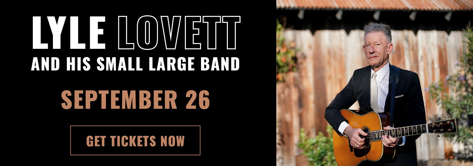 Lyle Lovett Banner